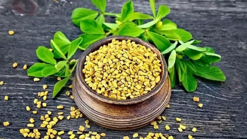 خرید مکمل پی سی او | PCO Help